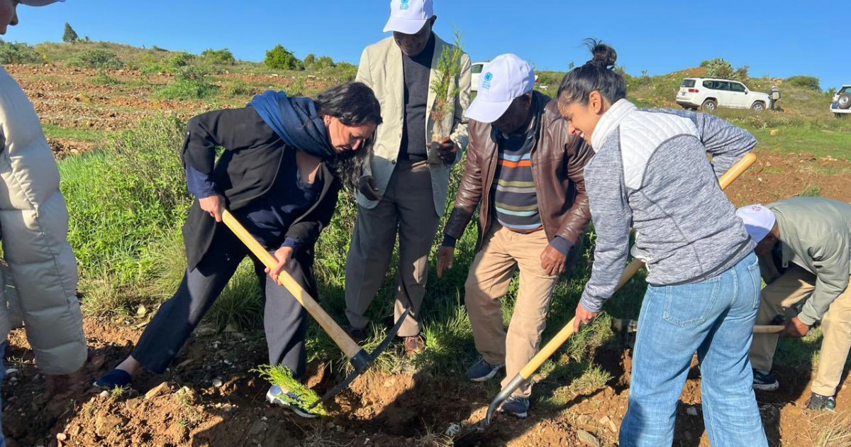 Reena Ghelani Eritrea mission