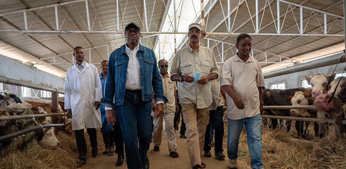 AfDB President's official visit to Eritrea: Project site visit - Halhale diary farm