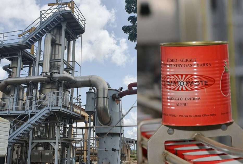 BanaTom primarily focuses on processing tomato paste